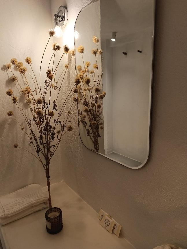 Casas Velhinhas - Apartº Aconchego E Apartº Calmaria Estremoz
